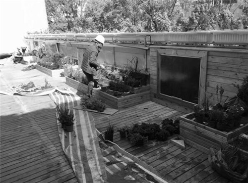 根植快樂認知和體驗的環境設計：幼兒園改造