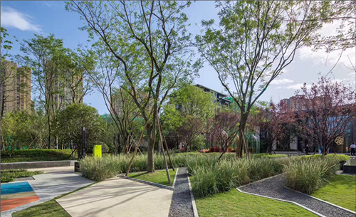 園冶杯專業獎:龍湖聽藍灣樣板區景觀設計