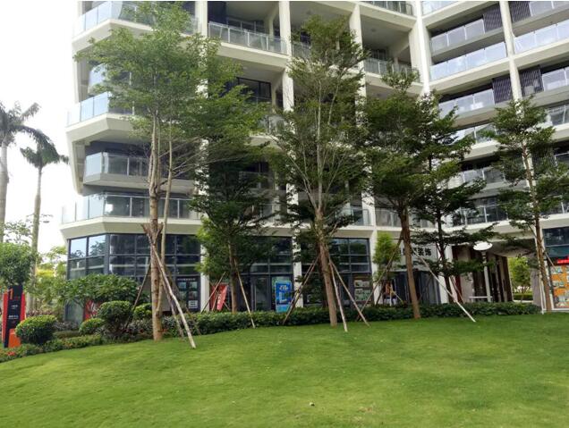 專業獎：海南省瓊海市和順小區一期改造工程