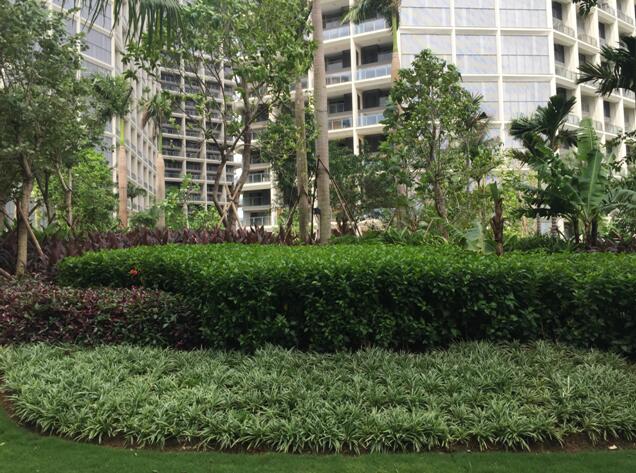 專業獎：海南省瓊海市和順小區一期改造工程