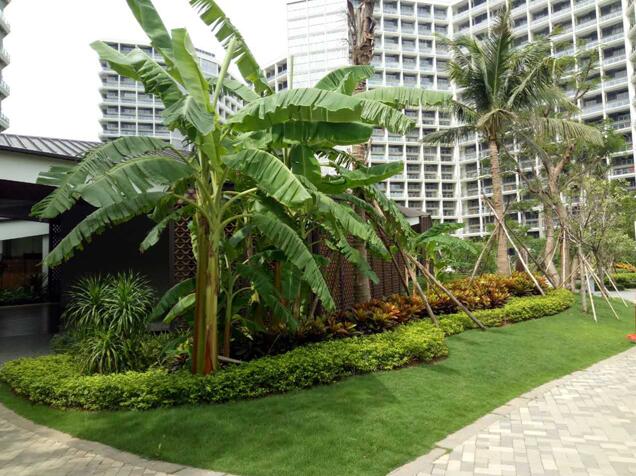 專業獎：海南省瓊海市和順小區一期改造工程