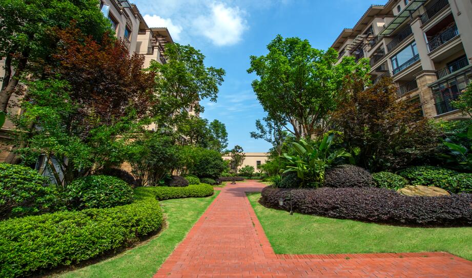 2017園冶杯專業獎：金科?中央公園城