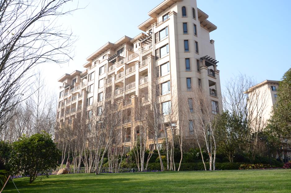 2017園冶杯專業獎：金科?中央公園城