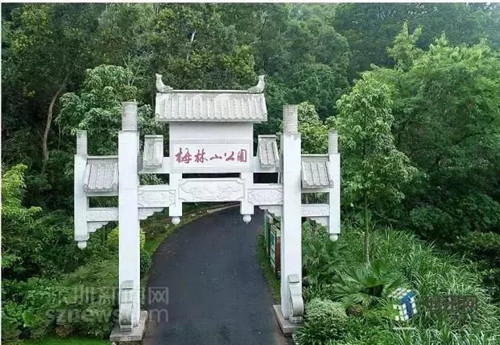 古樹(shù)寺廟和綠道，走進(jìn)梅林人的后花園