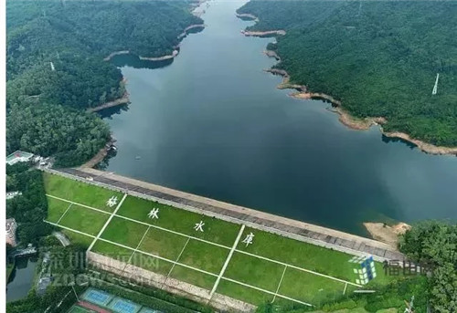 古樹(shù)寺廟和綠道，走進(jìn)梅林人的后花園