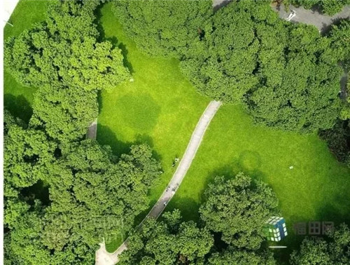 古樹(shù)寺廟和綠道，走進(jìn)梅林人的后花園
