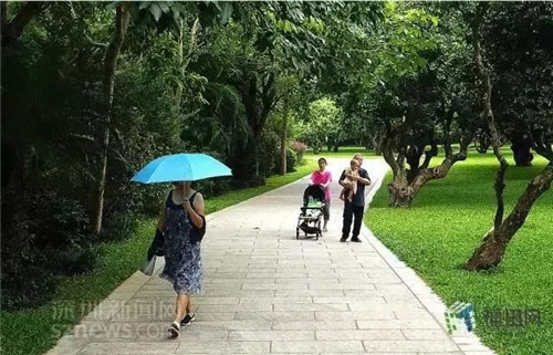 古樹(shù)寺廟和綠道，走進(jìn)梅林人的后花園