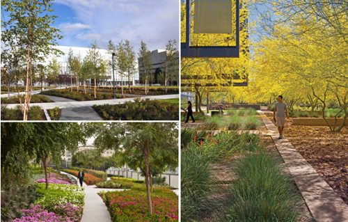 園冶杯專業獎:固安迎賓大道街角北、南公園