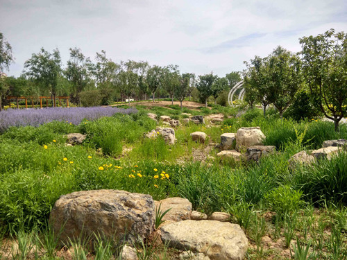 園冶杯專業獎:固安迎賓大道街角北、南公園