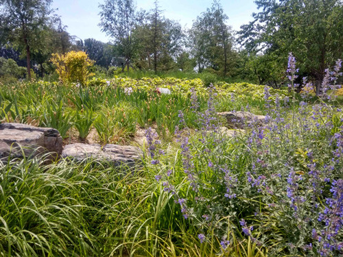 園冶杯專業獎:固安迎賓大道街角北、南公園