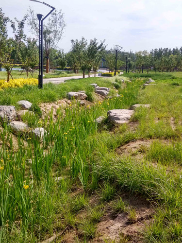 園冶杯專業獎:固安迎賓大道街角北、南公園