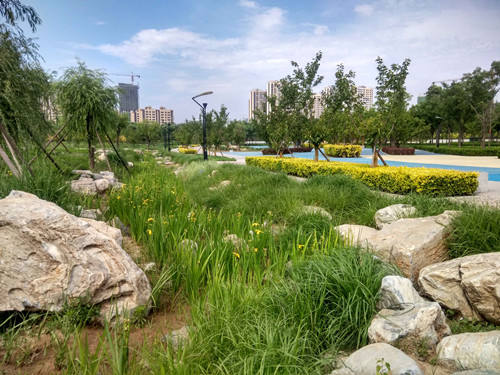 園冶杯專業獎:固安迎賓大道街角北、南公園