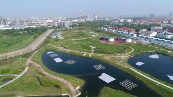 魔都這個23萬平濕地公園,本周末起免費開放