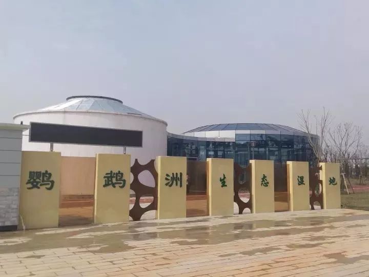 魔都這個23萬平濕地公園,本周末起免費開放