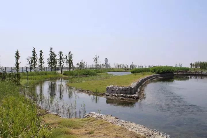 魔都這個23萬平濕地公園,本周末起免費開放
