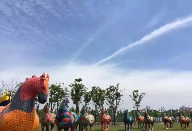 魔都這個23萬平濕地公園,本周末起免費開放