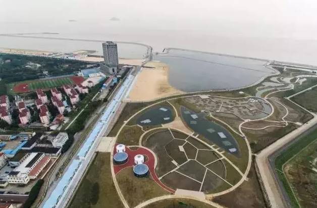 魔都這個23萬平濕地公園,本周末起免費開放