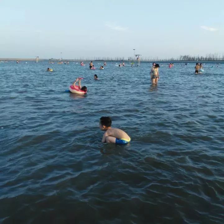 魔都這個23萬平濕地公園,本周末起免費開放