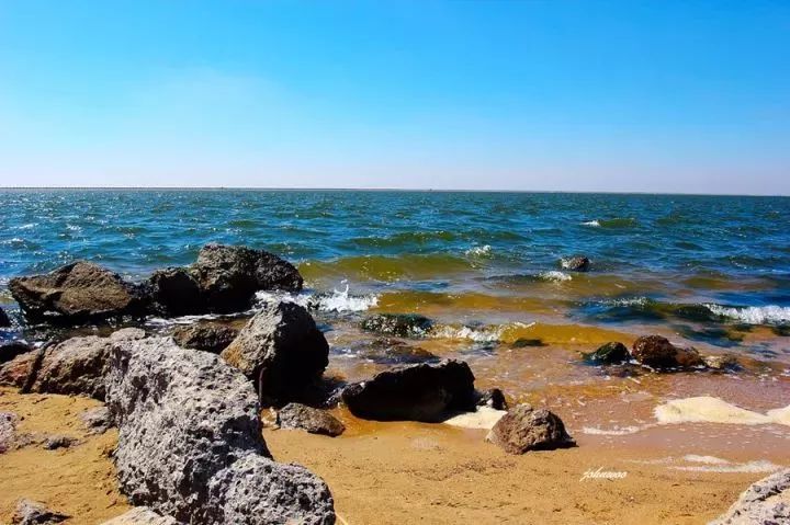 魔都這個23萬平濕地公園,本周末起免費開放