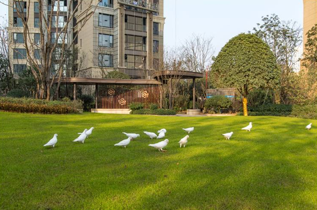 晟通?梅溪湖國際總部中心(一期)園林景觀工程