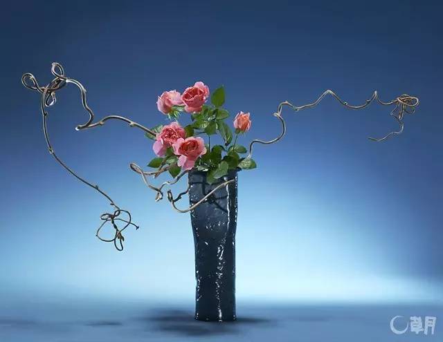 中式、日式、西式插花，最大的區(qū)別是什么？