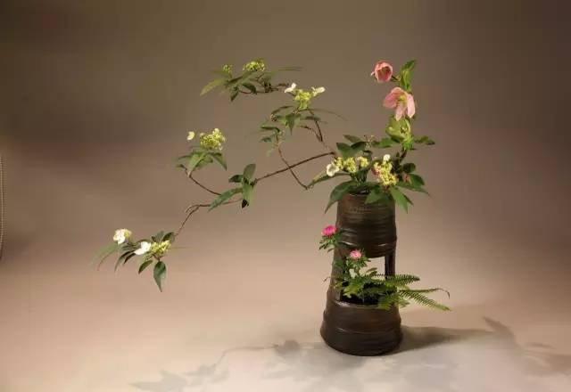 中式、日式、西式插花，最大的區(qū)別是什么？