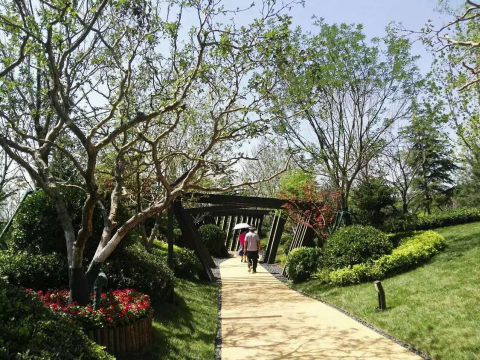 園冶杯專業(yè)獎：濟(jì)南萬科龍湖城市之光施工