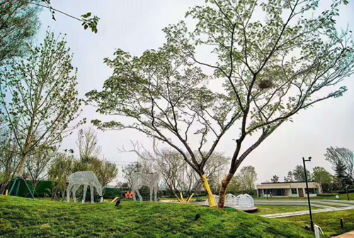 園冶杯專業(yè)獎：濟(jì)南萬科龍湖城市之光施工