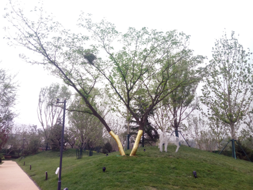 園冶杯專業(yè)獎：濟(jì)南萬科龍湖城市之光施工