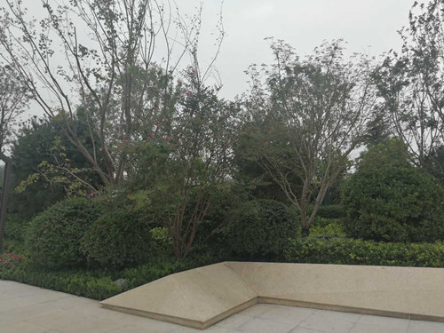 園冶杯專業(yè)獎：濟(jì)南萬科龍湖城市之光施工