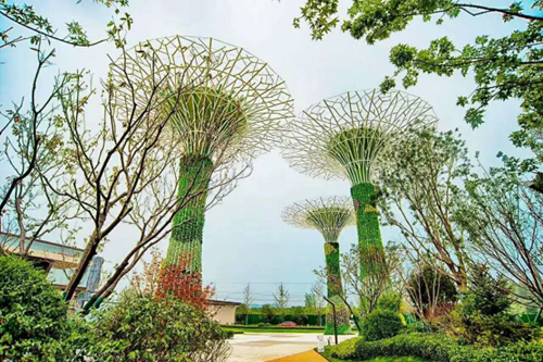 園冶杯專業(yè)獎：濟(jì)南萬科龍湖城市之光施工