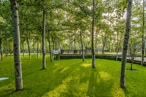 園冶杯專業(yè)獎(jiǎng)：北京中糧京西祥云