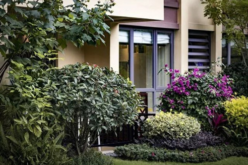 自然天成·傳世英倫風情——碧桂園·海昌天瀾