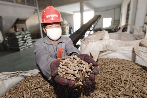 江蘇吳江:綠化垃圾制成鍋爐燃料出售