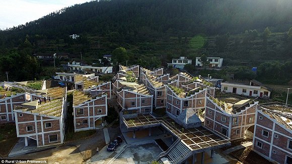 四川22座挺酷的屋頂農場