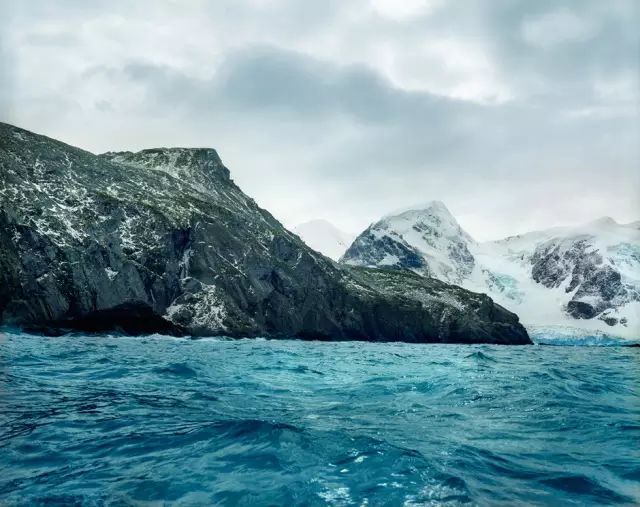 可能植物活得久了都會(huì)變得奇怪的樣子