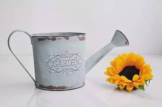 秋日花園里的小情調(diào)