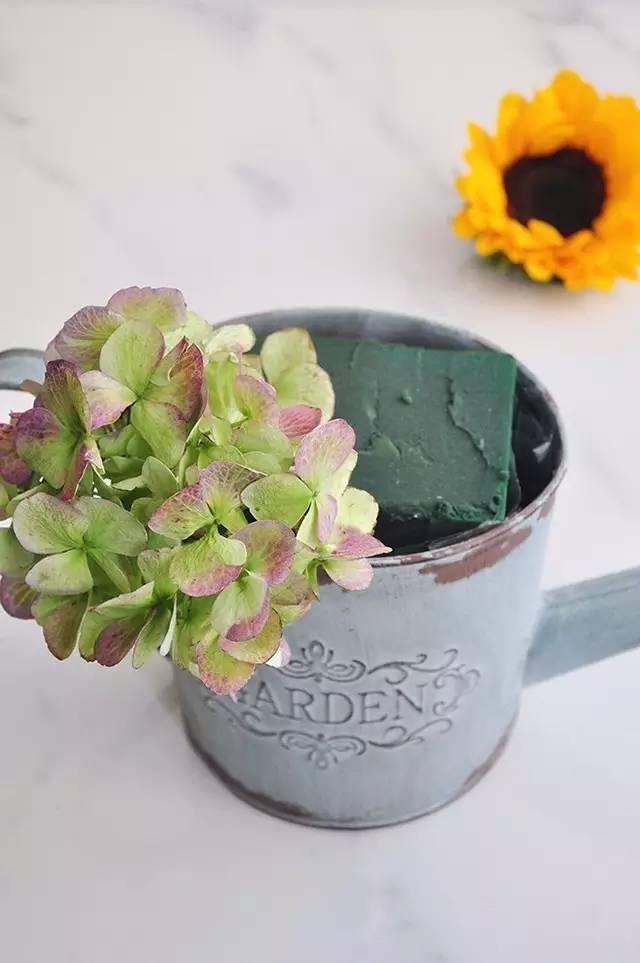 秋日花園里的小情調(diào)