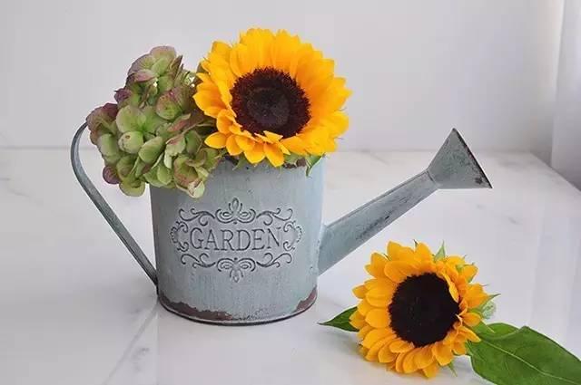 秋日花園里的小情調(diào)