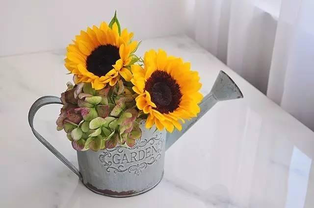 秋日花園里的小情調(diào)