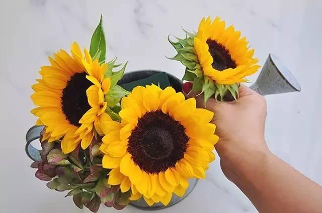 秋日花園里的小情調(diào)