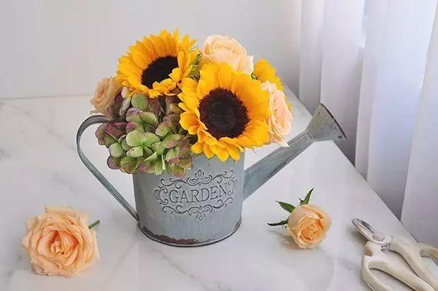 秋日花園里的小情調(diào)