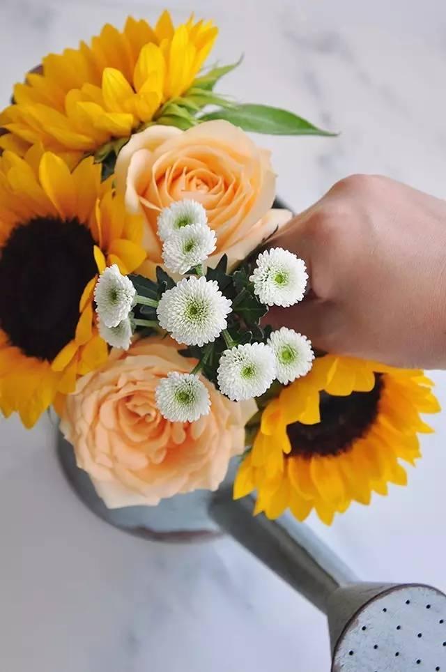 秋日花園里的小情調(diào)