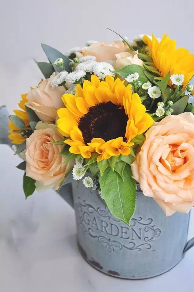 秋日花園里的小情調(diào)