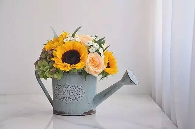 秋日花園里的小情調(diào)