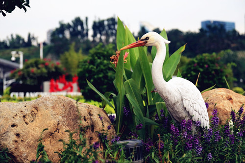 園冶杯專業(yè)獎(jiǎng)：廈門郵輪母港城景觀提升設(shè)計(jì)