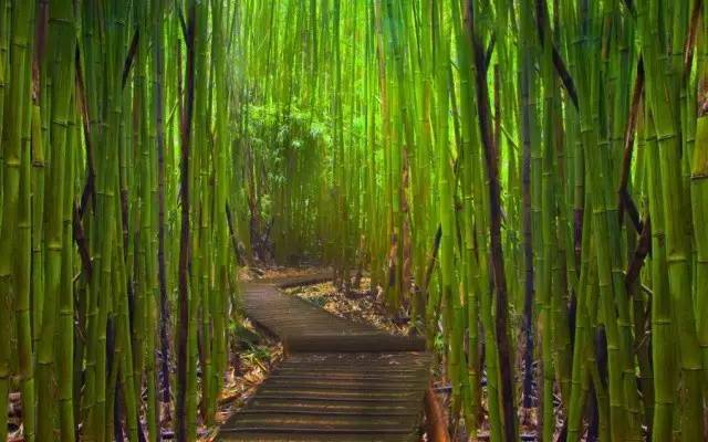 景觀設計中的風水常識