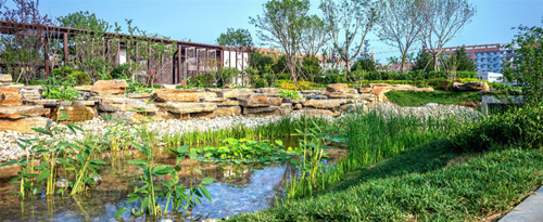 園冶杯專業(yè)獎：濟(jì)南章丘魯能公館景觀方案設(shè)計(jì)