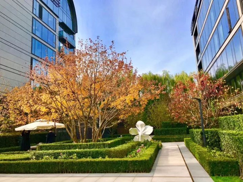 棕櫚股份：貝爾高林——融創?北京壹號院