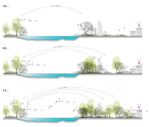 棕櫚股份：貝爾高林——融創?北京壹號院
